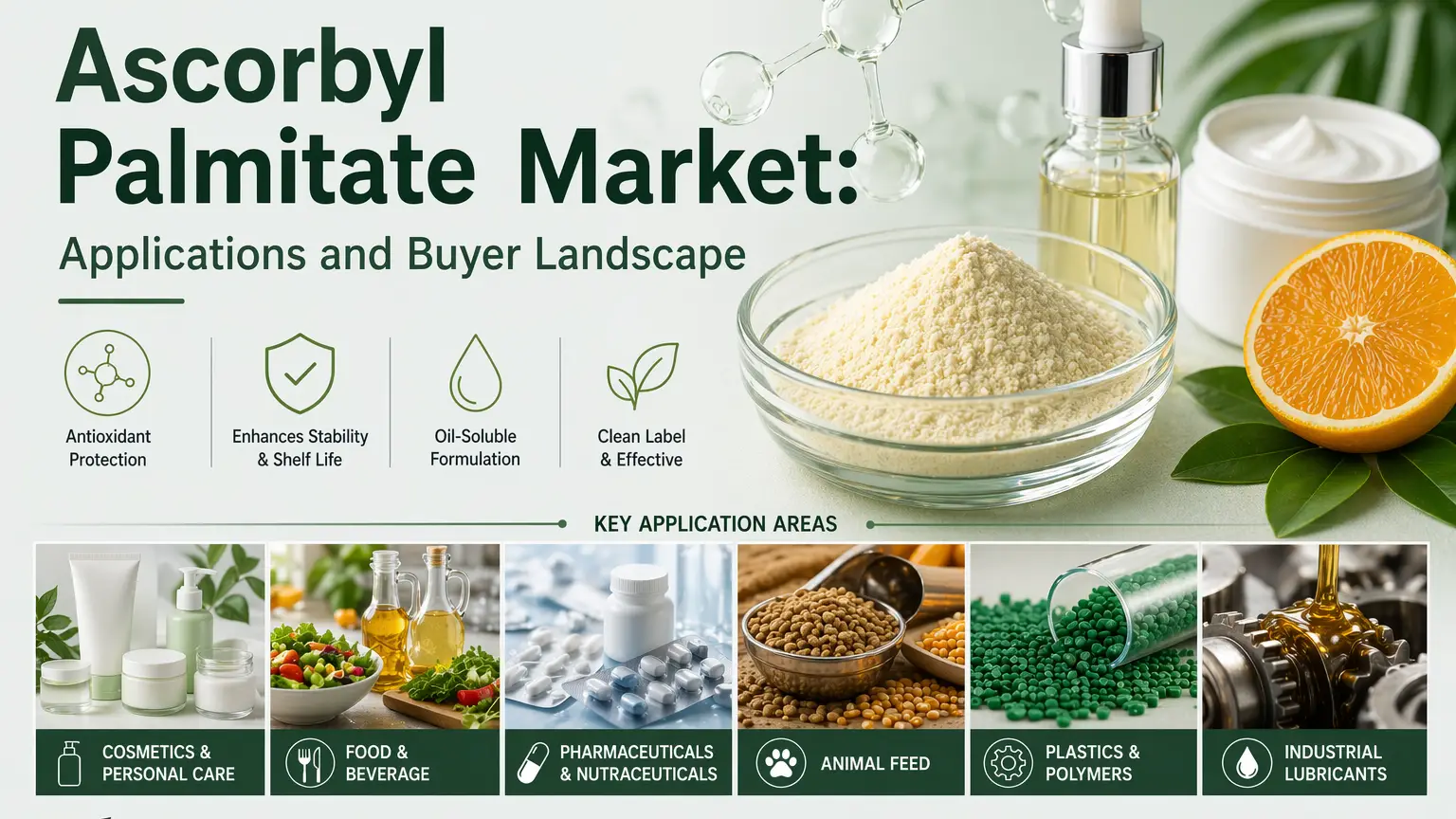 Ascorbyl Palmitate Market: Toepassings en koperlandskap