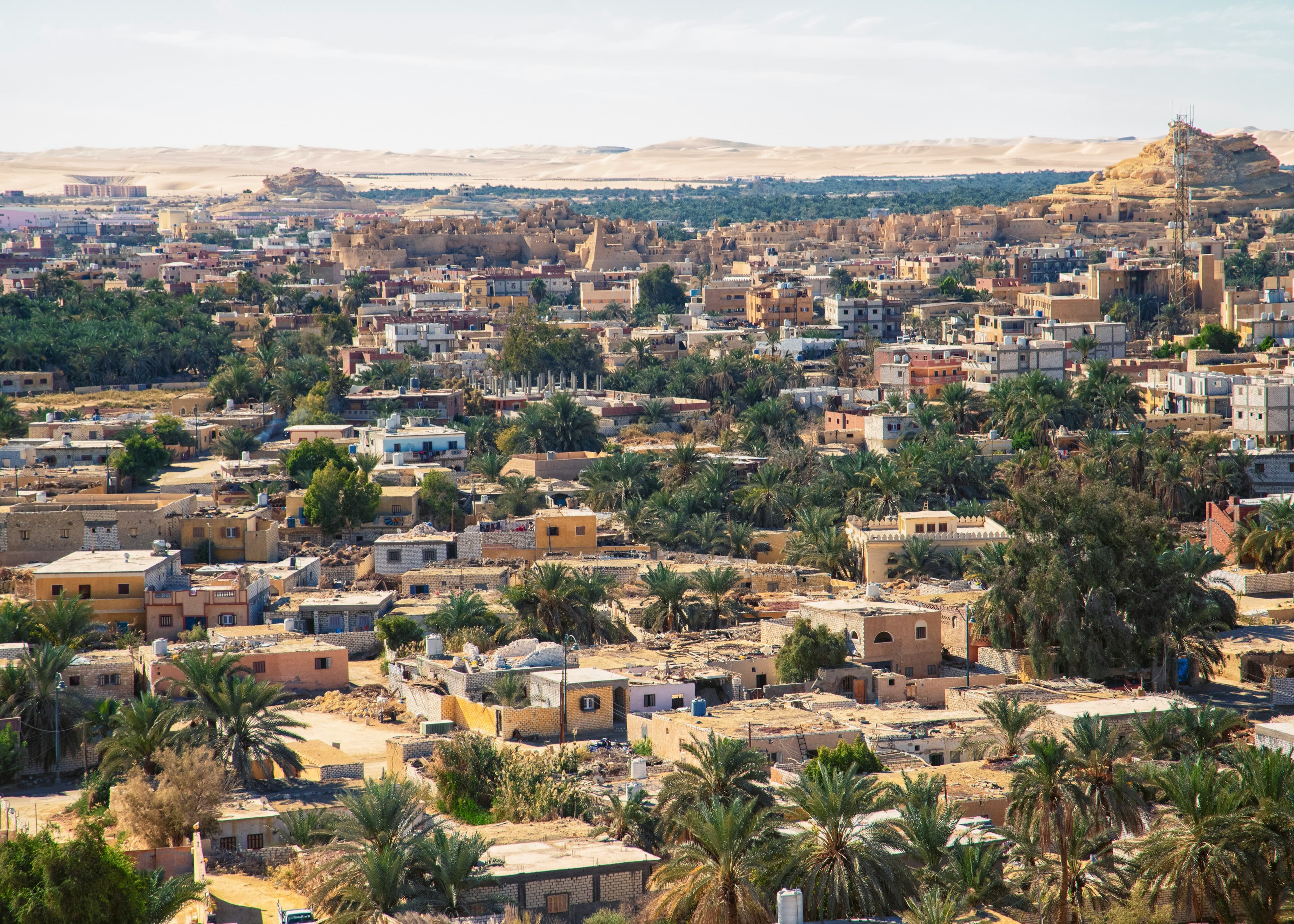 84% van die Midde-Ooste se PE maak staat op Hormuz: ICIS-data en wat dit beteken vir die hersteltempo van Q3