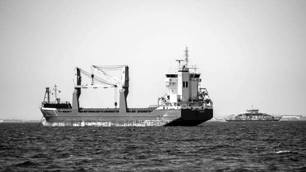 Baltic Dry Index daal tot twee weke laagtepunt, wat grootmaatversending spandeer