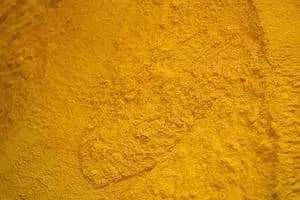 Maisglutenmehl (mindestens 60% Protein) — Indonesien