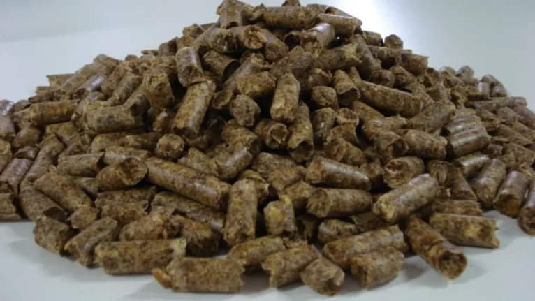 Fruchtfleisch von Zitrusfrüchten
