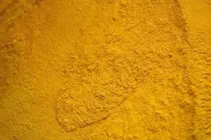 Corn Gluten Meal (60% Min Protein) - Indonesia